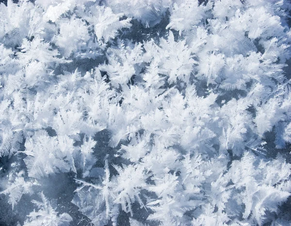 Hoarfrost kristalleri — Stok fotoğraf