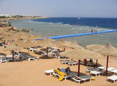 plaj red sea shore