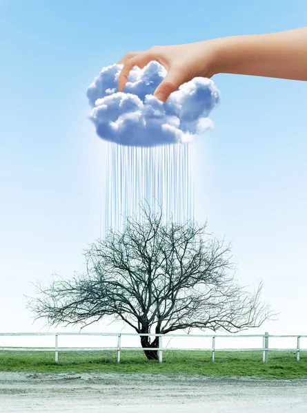 木に水をまく ロイヤリティフリーのストック画像