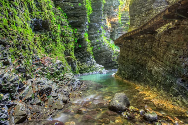 Kozjak creek — Stockfoto