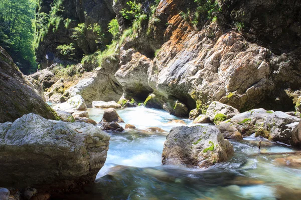 Tolminska korita — Stok fotoğraf