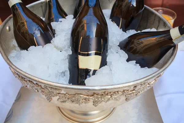 Botellas de vino en cubo de hielo frío — Foto de Stock