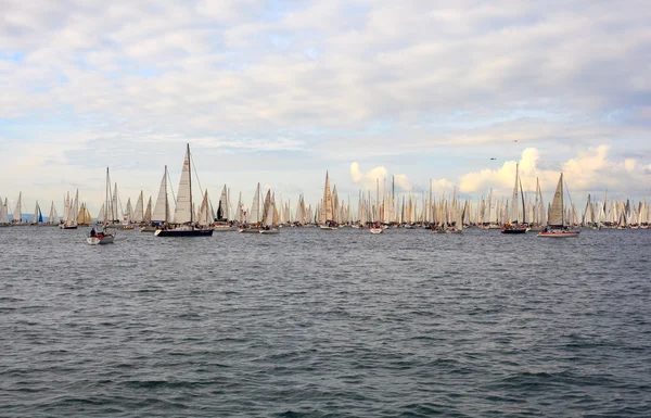 Regata barcolana, Terst — Stock fotografie