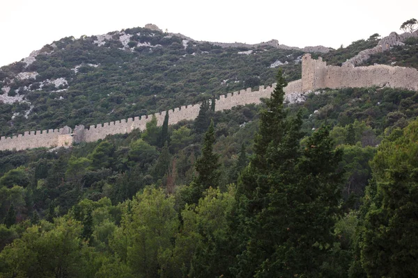 Paredes de Ston, Croácia — Fotografia de Stock