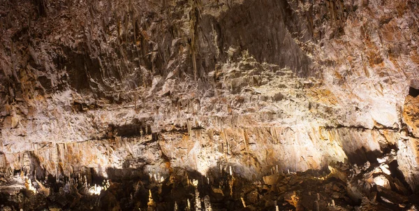 Grotta Gigante - гігант печери, Sgonico. Трієст — стокове фото