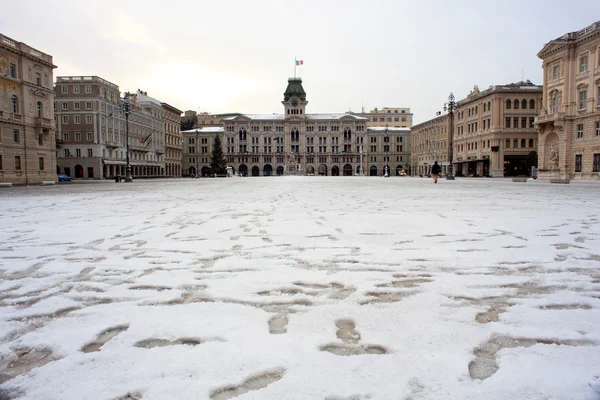 Trieste täcks av snö — Stockfoto