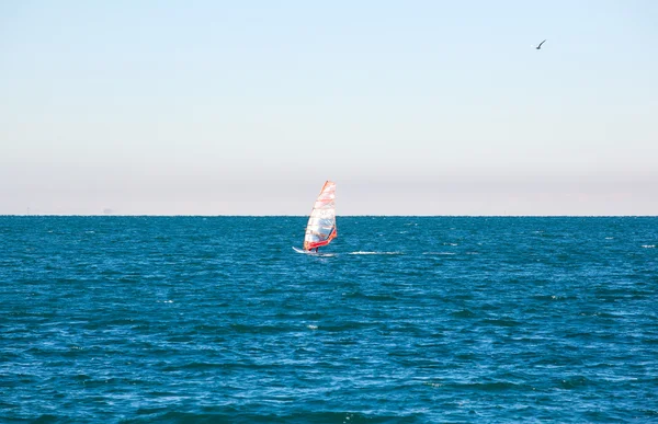 Windsurfer in the Trieste sea — Stock Photo, Image