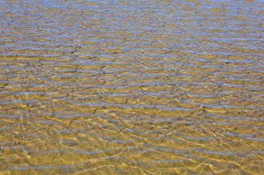 secovlje tuz buharlaşma havuz manzarası