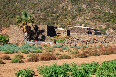 saç ekimi, pantelleria