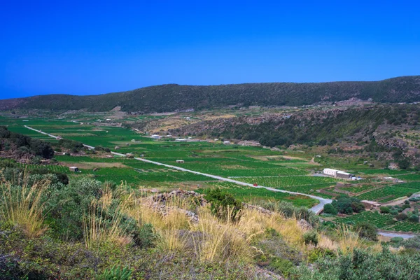 Val Ghirlanda, Pantelleria — Stock Photo, Image