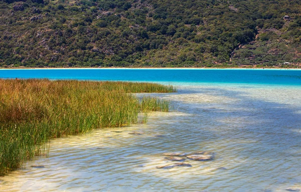 Juncus, Lago di Venere in Pantelleria — Stock Photo, Image