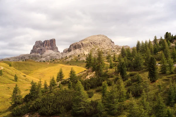 Dolomiti, cima del passo. Falzarego — Foto Stock