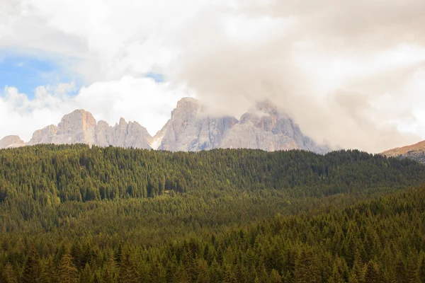 Parco Paneveggio — Foto Stock