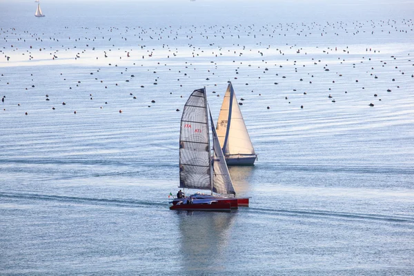 Segelbåtar — Stockfoto