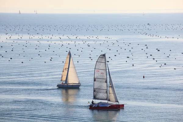 Barcos à vela — Fotografia de Stock