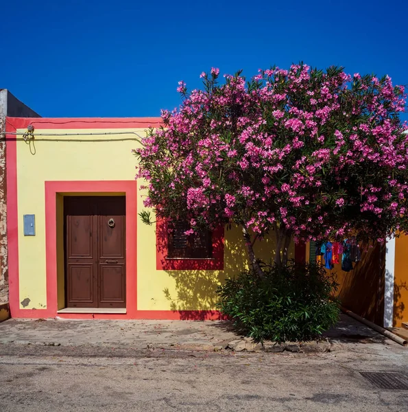Uitzicht Een Typisch Kleurrijk Huis Van Linosa Gekleurd Met Rood — Stockfoto