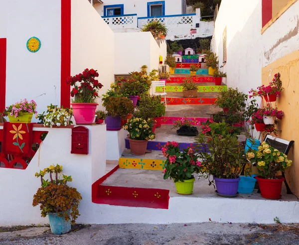 View Typical Colored House Linosa Staircase Full Flower Pots — Stock Photo, Image