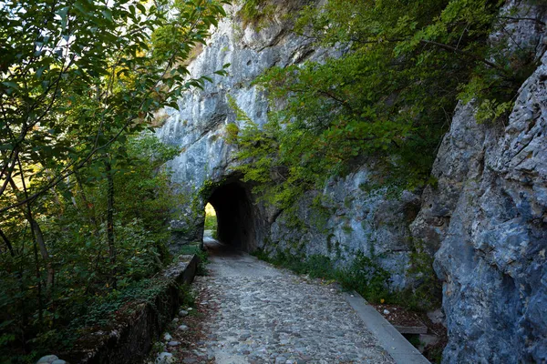 Μονοπάτι Του Δακτυλίου Του Βουνού Cumieli Friuli Venezia Giulia — Φωτογραφία Αρχείου