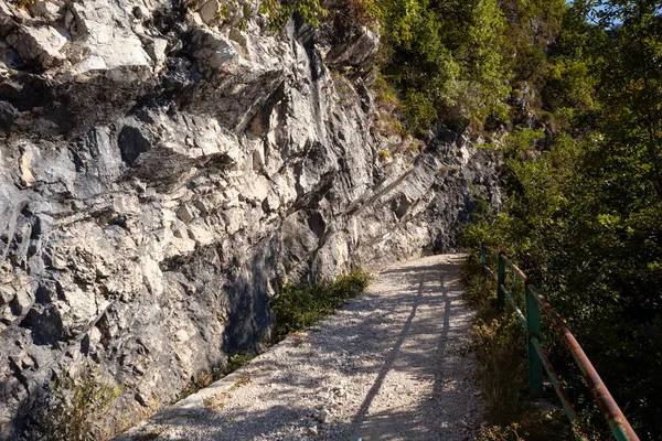 卡米埃利山环的路线 弗留利亚朱利亚 — 图库照片