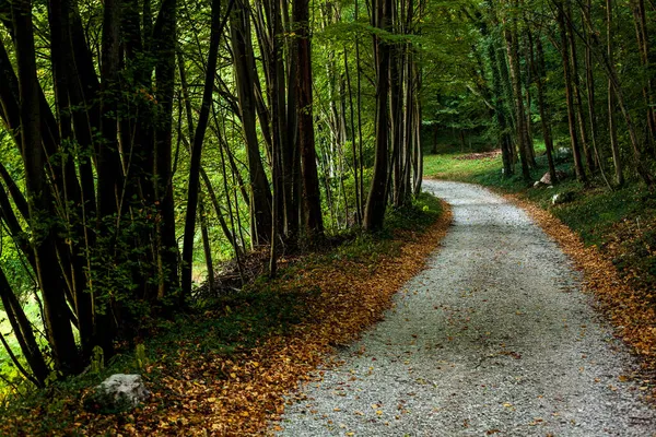 Διαδρομή Που Ονομάζεται Mount Cumieli Ring Friuli Venezia Giulia Ιταλία — Φωτογραφία Αρχείου