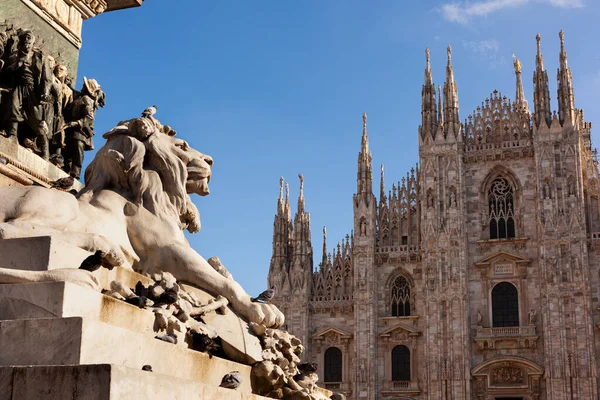 意大利米兰的狮子雕塑和米兰大教堂 — 图库照片