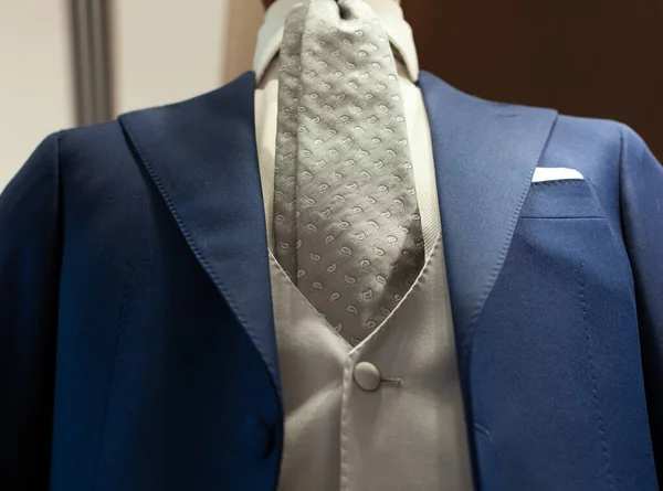 Elegante Abito Maschile Blu Con Gilet Grigio Cravatta — Foto Stock