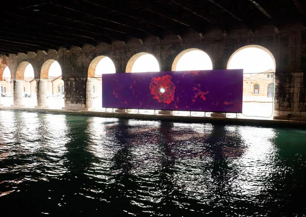 Venice Italy April Digital Installation Tsang Titled Whales 59Th International — Stock Photo, Image