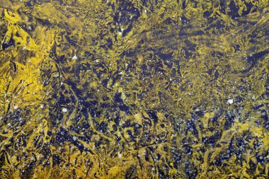 Renkli soyut resim, karışık medya. Dekorasyon ve desen mavi, gri ve sarı akrilik renklerle yapılır.