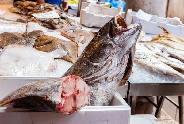 Close Fresh Seafood Ice Fish Market — Stock Photo, Image