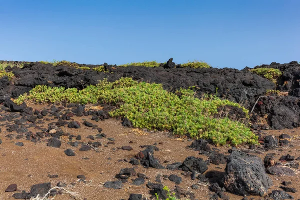 Caratteristica Veduta Delle Pietre Laviche Linosa Sicilia — Foto Stock