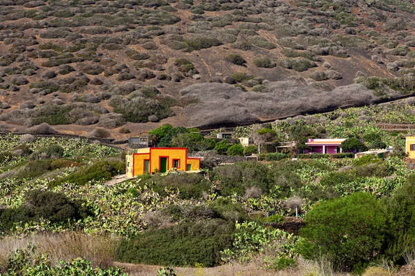 Vista Las Típicas Casas Coloridas Linosa Campo Sicilia —  Fotos de Stock