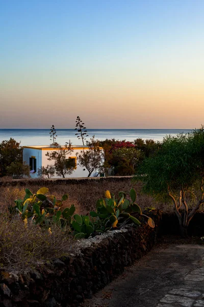 Blick Auf Das Typische Haus Von Linosa Umgeben Von Mediterranem — Stockfoto