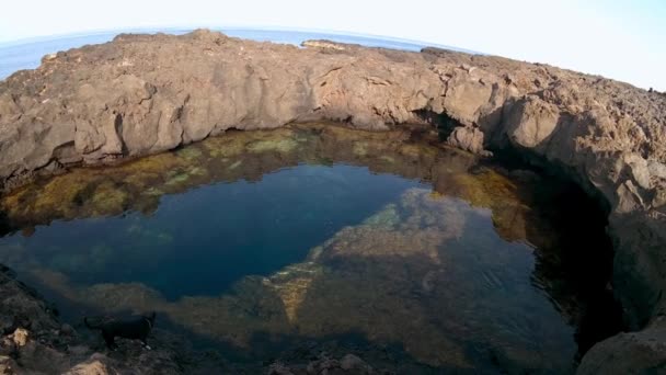 Вид Лавовий Пляж Лінози Називається Piscine Сицилія Італія Стокове Відео 