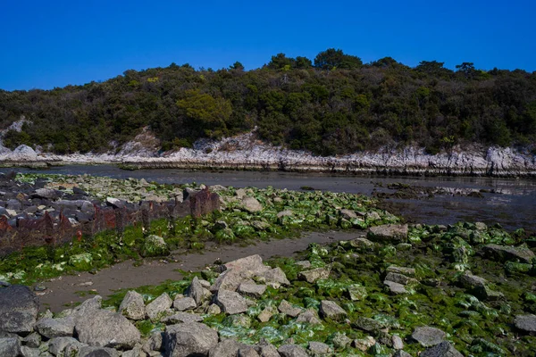 View Timavo River Resurgences Italy — Stok fotoğraf