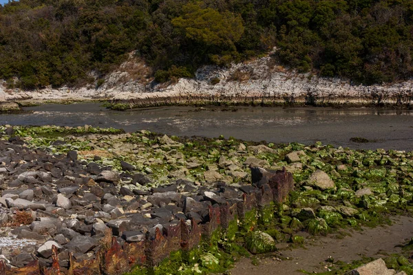 View Timavo River Resurgences Italy — Stockfoto