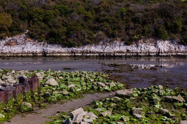 Вид Річку Тімаво Італія — стокове фото
