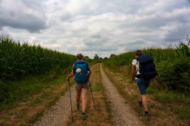 Pilgrims walking next to the corn field along the french road of the way of St. James called Chemin de Saint Jacques du Puy. France