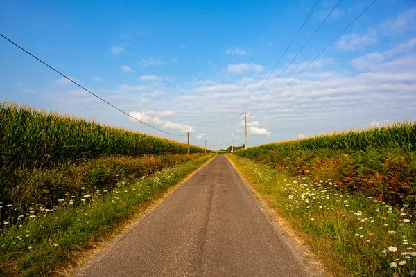 Дорога Посреди Кукурузного Поля Голубого Неба Пути Сен Жак Пюи — стоковое фото