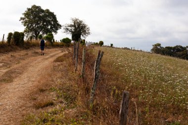 Pilgrim along the Chemin du Puy, French route of the way of St James