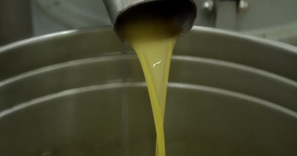 Green Olive Oil Komt Uit Eindpijp Molen Industrie Extractie Machine — Stockvideo