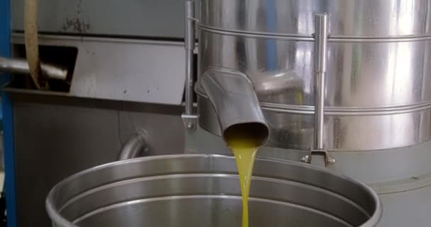 绿色橄榄油从轧机行业的最终管路中流出 萃取机额外的原生油液流 — 图库视频影像