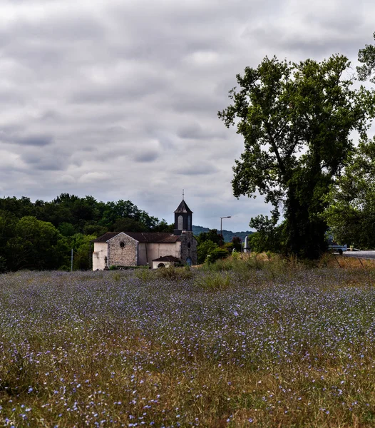 Igreja Saint Pierre Argagnon Longo Rota Chemin Puy Cantão Arthez — Fotografia de Stock