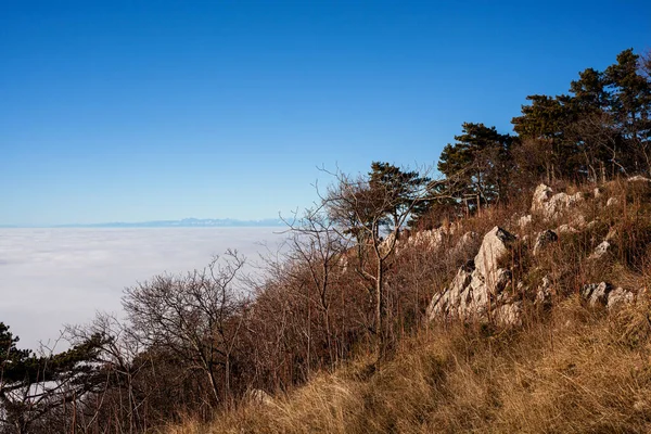 Wolken Drijven Tussen Rotsachtige Kliffen Het Landschap Van Triëst — Stockfoto