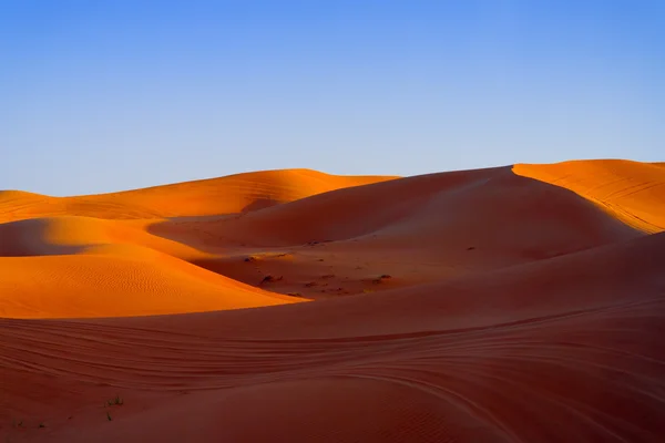 アラビア砂漠砂丘 — ストック写真