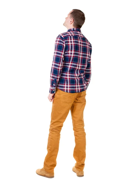 市松模様のシャツを見るとハンサムな男の背面図. — ストック写真
