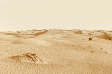 çöl dunes