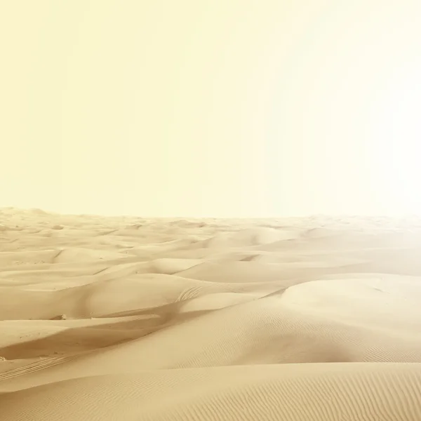 Dunes dans le désert — Photo