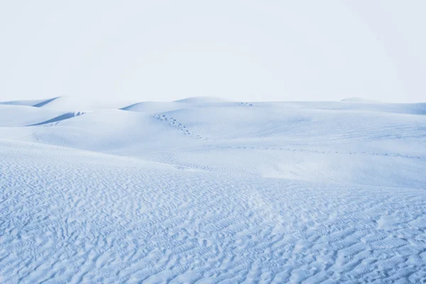 Desierto ártico — Foto de Stock