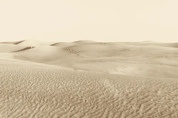 Dunas en el desierto —  Fotos de Stock