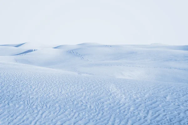 Arctic desert — Stock Photo, Image